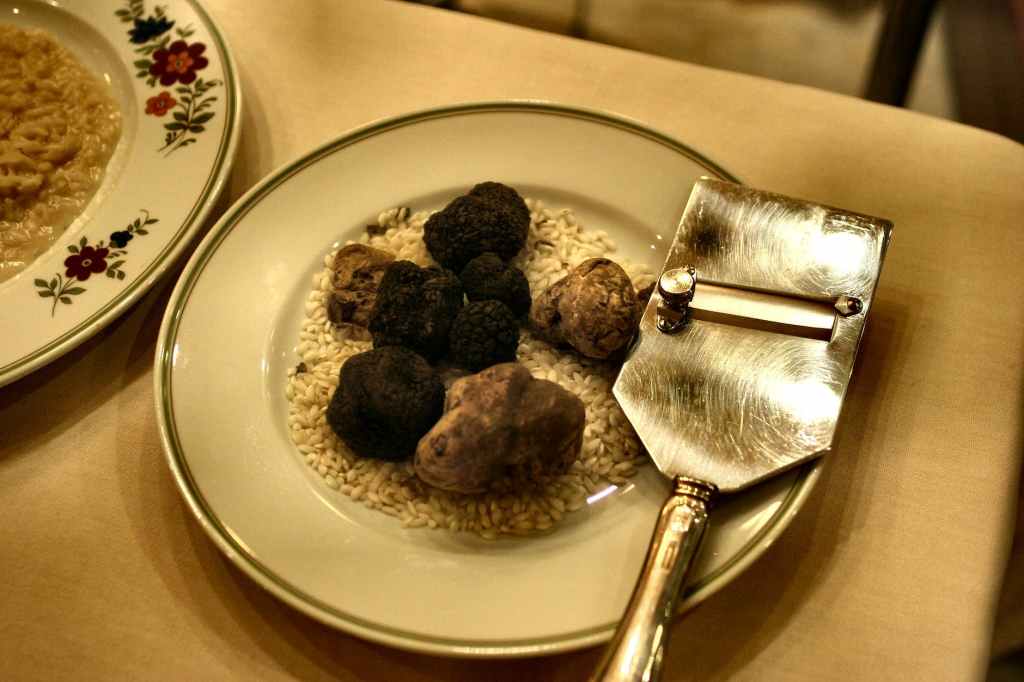 All about truffles… At La Maison de la Truffe in Aups